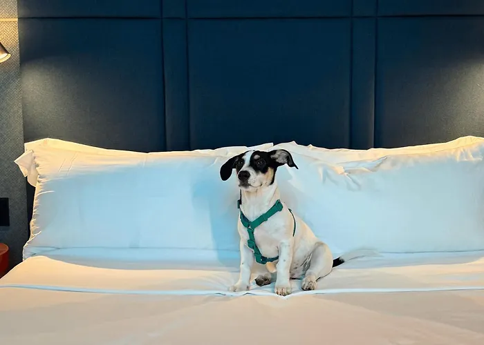 Hotel Hilton Porto Alegre, Brazil